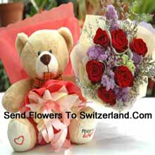 Beautiful Teddy with Lovely 7 Roses