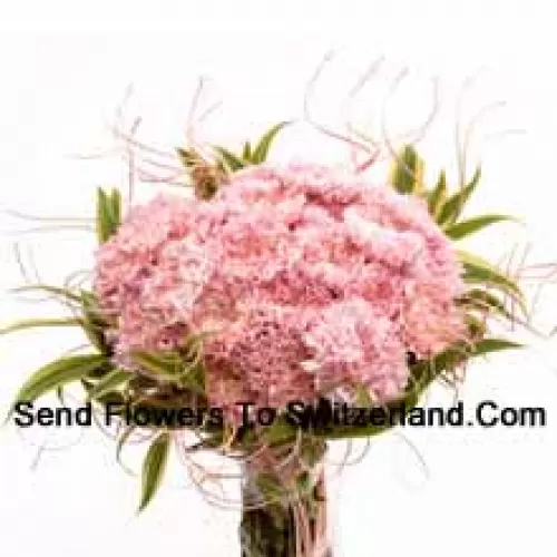 Bunch Of 25 Pink Carnations With Seasonal Fillers