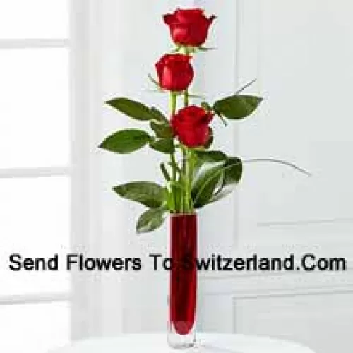 Three Red Roses In A Red Test Tube Vase (We Reserve The Right To Substitute The Vase In Case Of Non-Availability. Limited Stock)